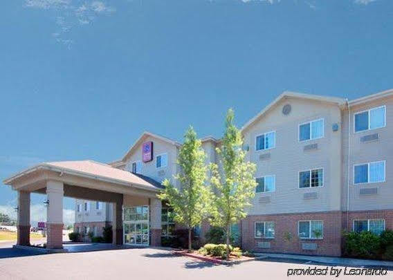 קלקאמאס Comfort Suites מראה חיצוני תמונה